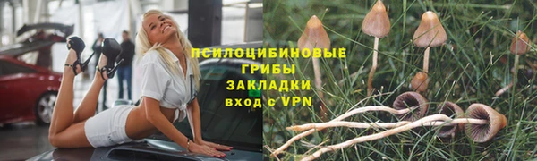 бошки Верхнеуральск