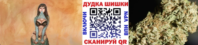 kraken ССЫЛКА  Киржач  Шишки марихуана White Widow 